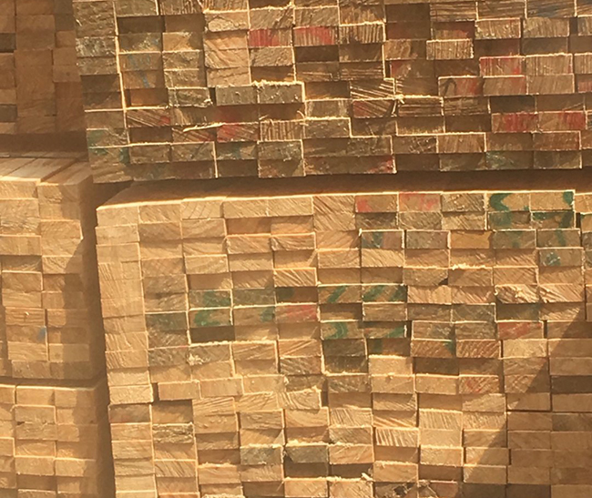 康保新西兰进口松木