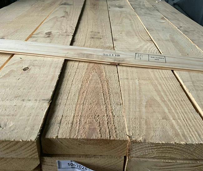 康保阿根廷松木